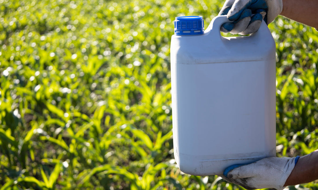 Maize Fertiliser Requirements