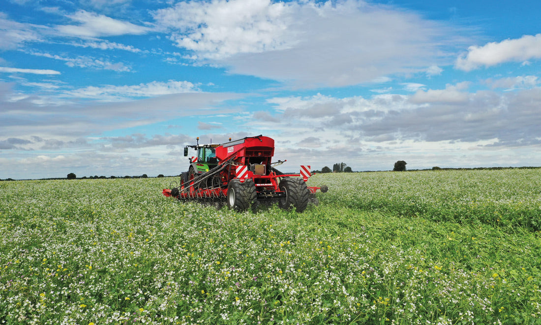 Regenerative & Sustainable Agriculture