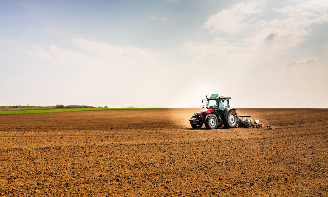 Reseeding Guidelines
