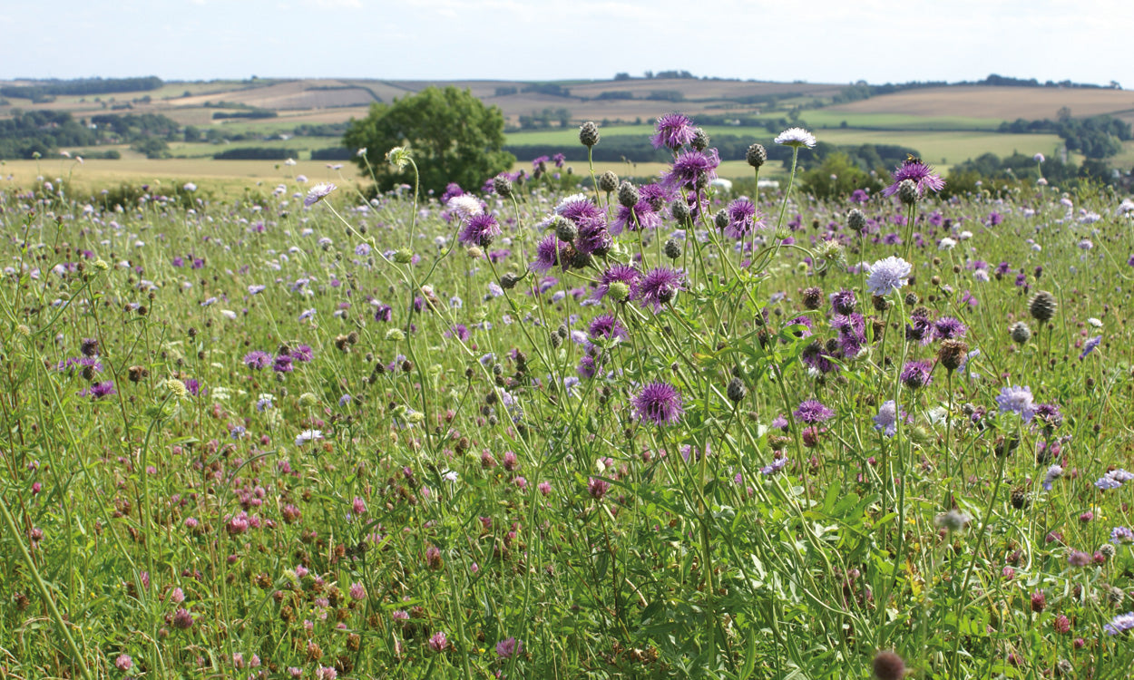 Stewardship Mixtures