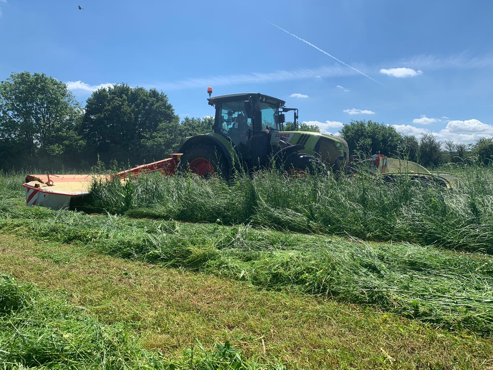 Other Grass Mixtures