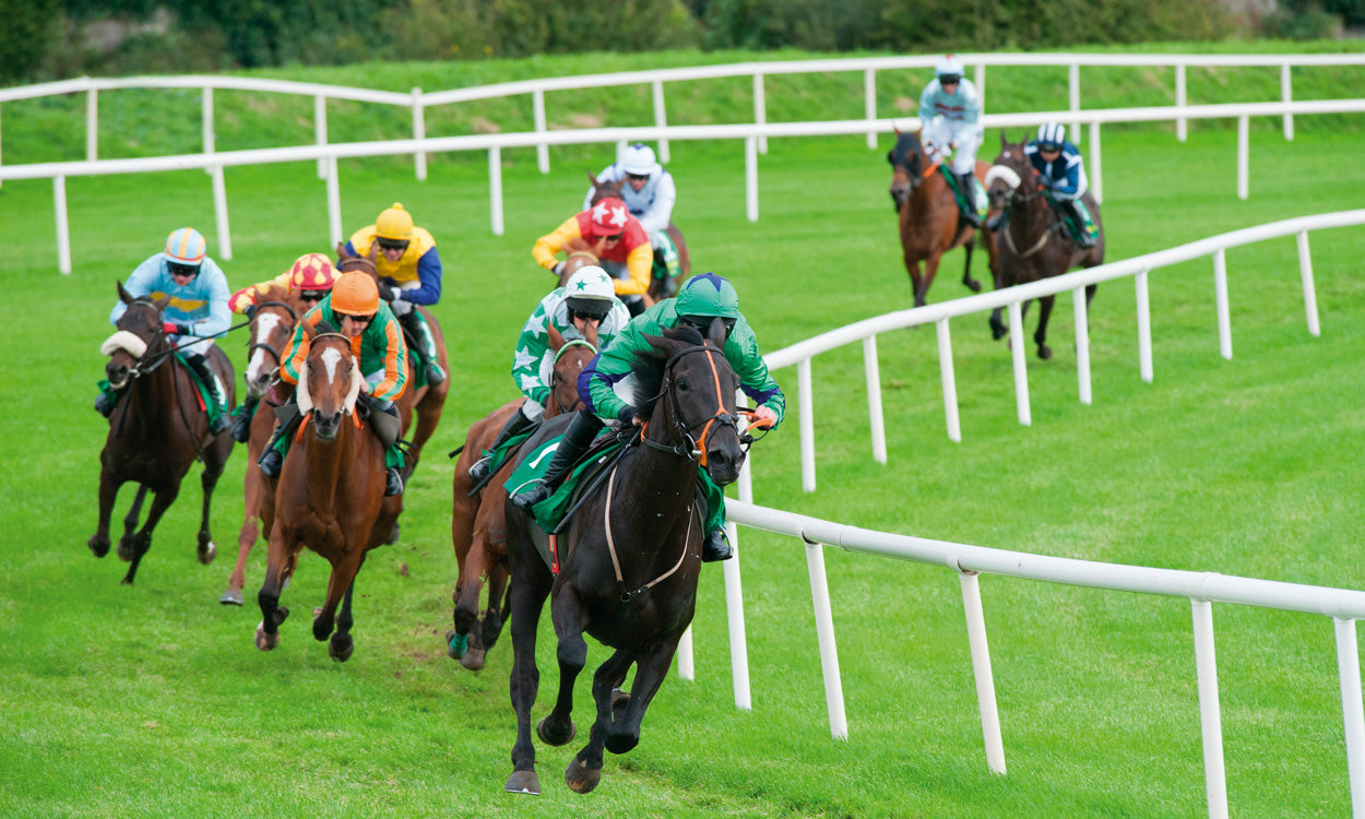 Amenity/Sport