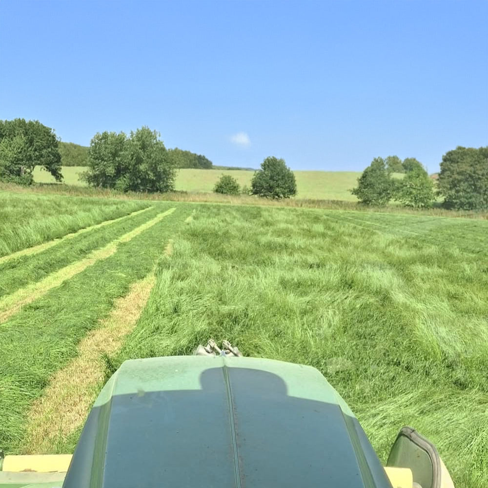 View from a tractor on a green field with trees under a clear blue sky