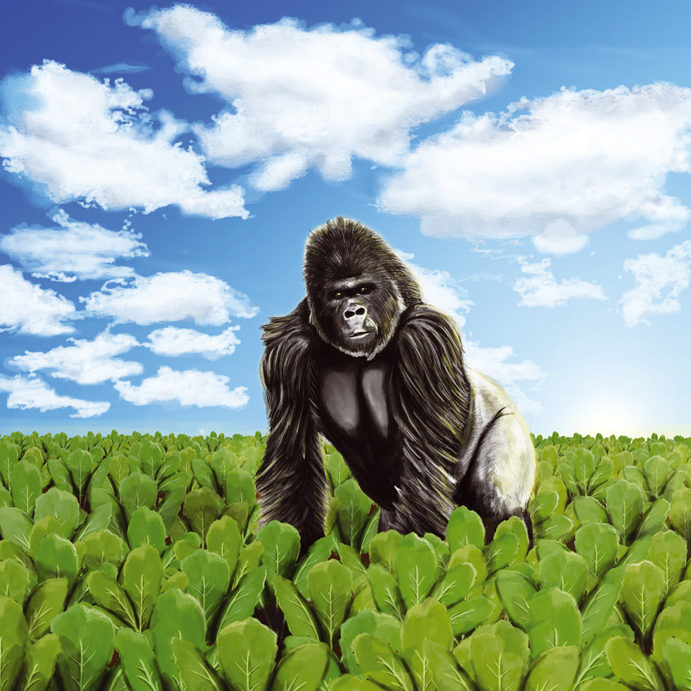 Gorilla standing in a field of green leaves with a blue sky background