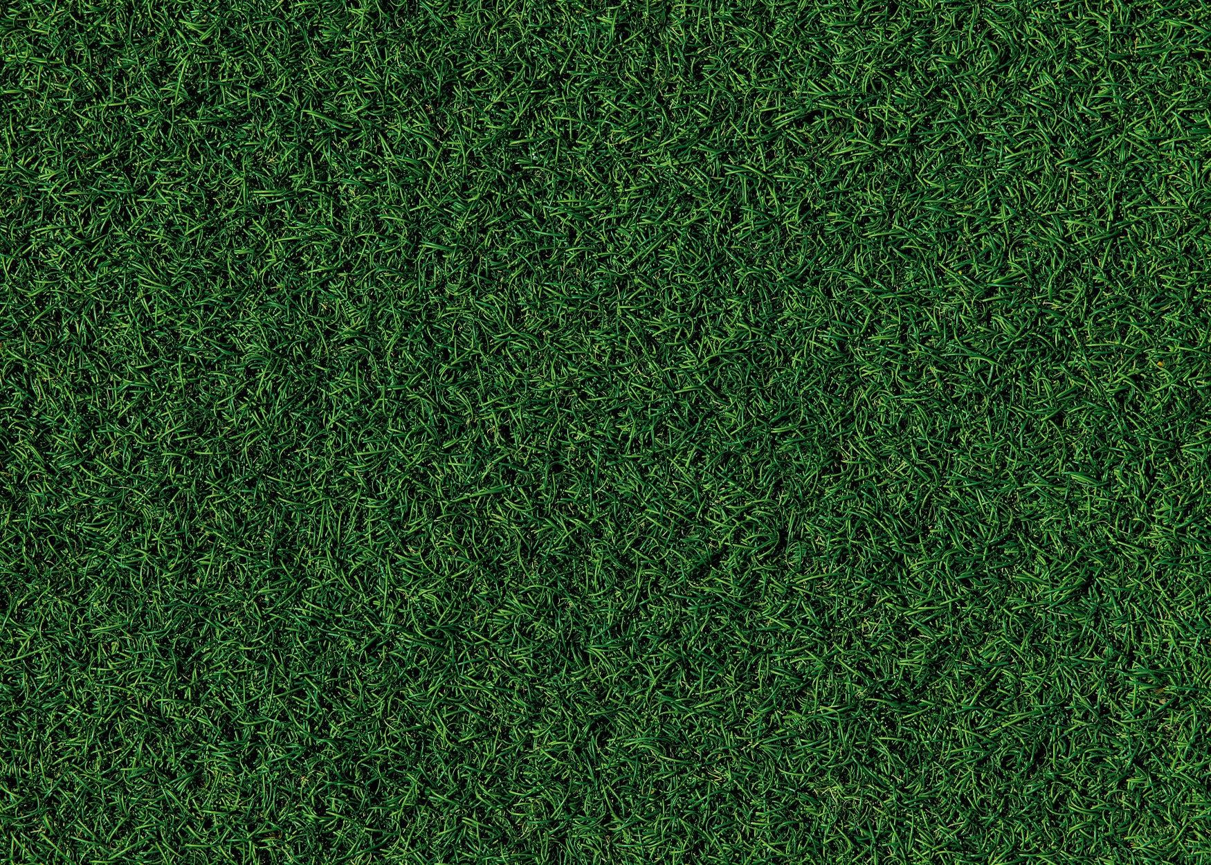 Green Farm Seeds Default Background