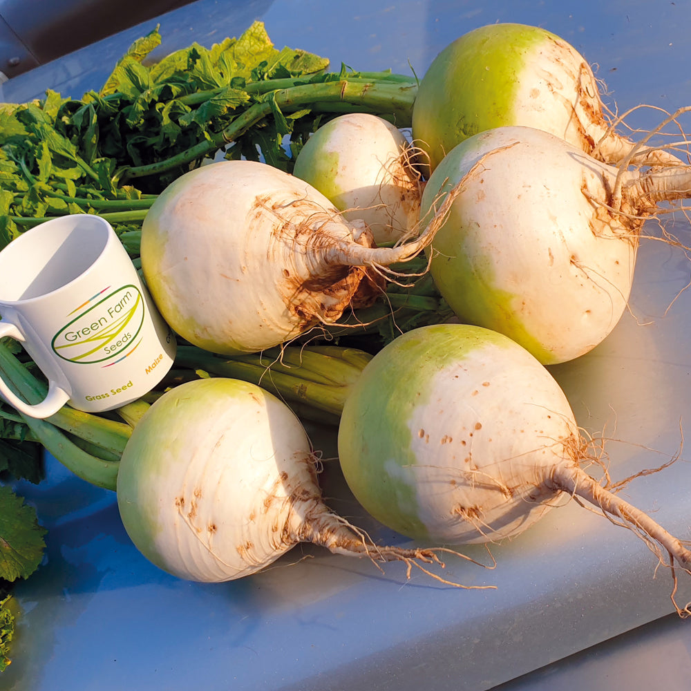 Turnips and a mug with 'Green Farm' branding on a blue surface