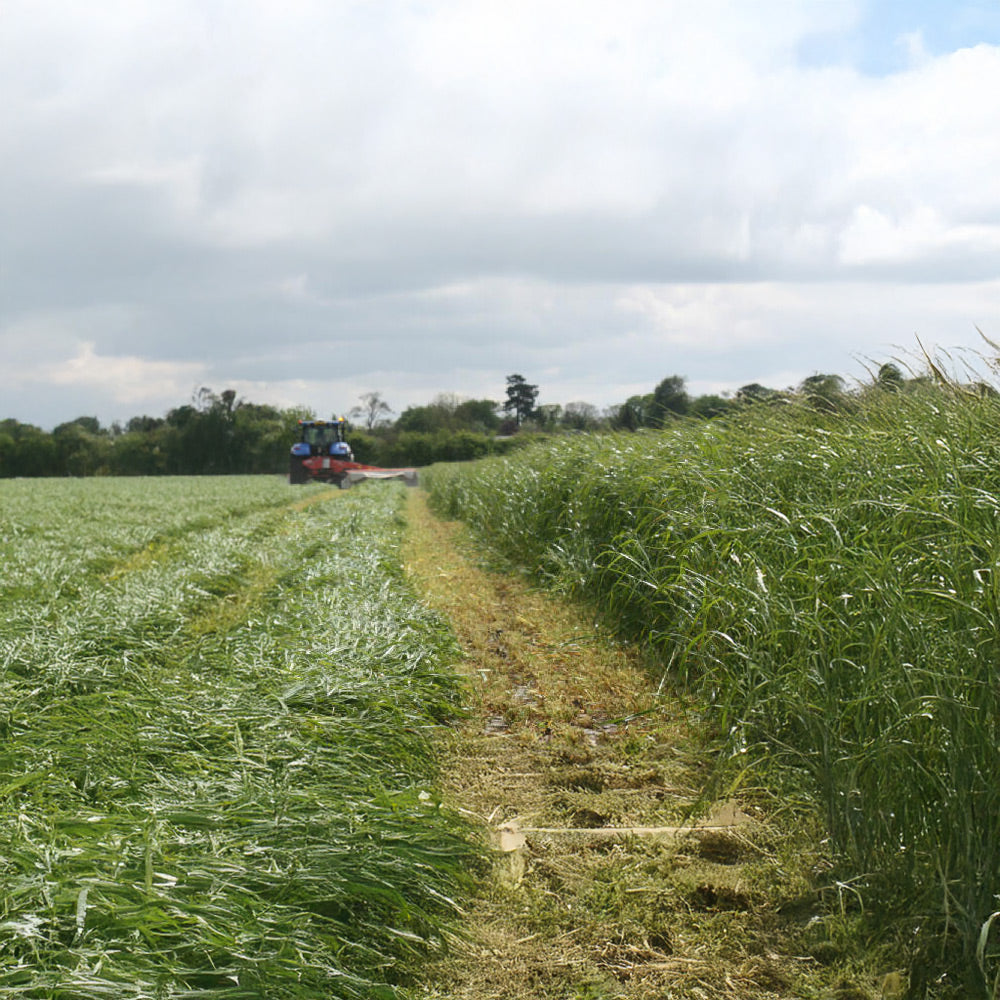 Tractor harvesting grass in a field with a cloudy sky.