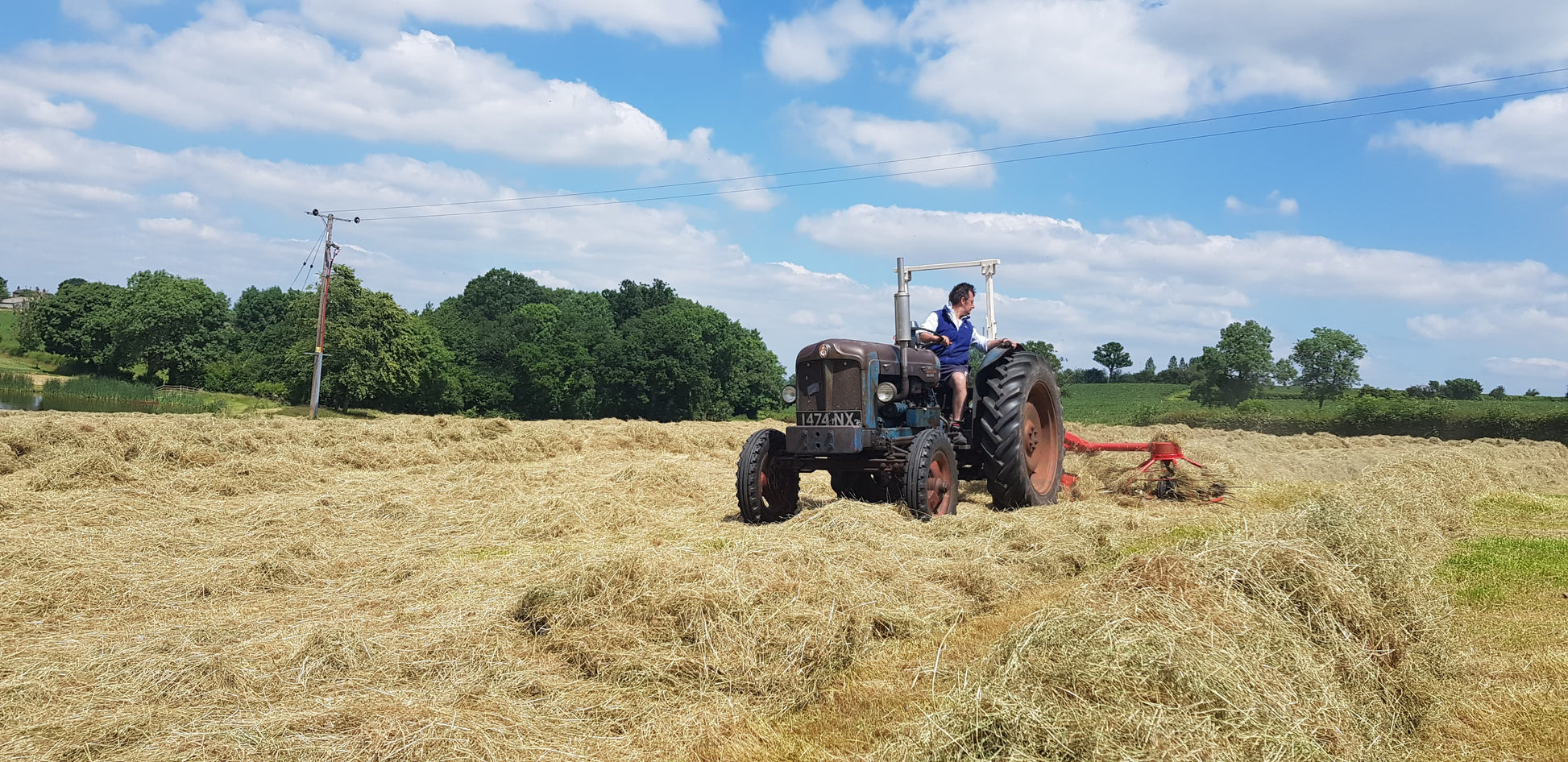 Photo of GFS Premier Haylage by Green Farm Seeds — featuring Grass in field, shown in beige, suitable for Agriculture