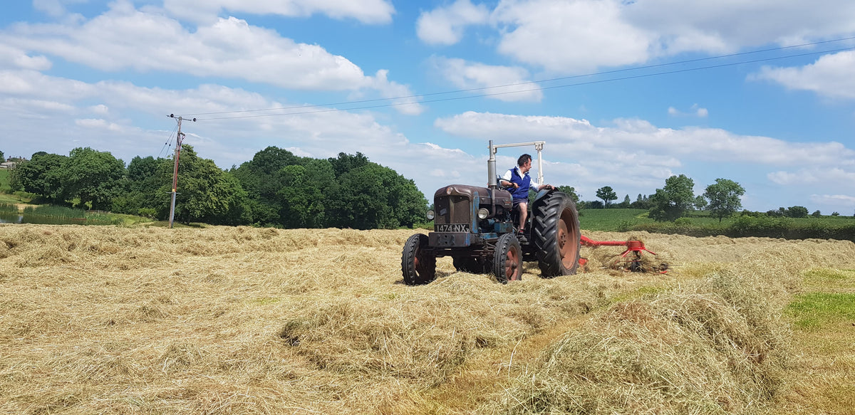 Premier Haylage | Grass Seed Mixtures | Green Farm Seeds