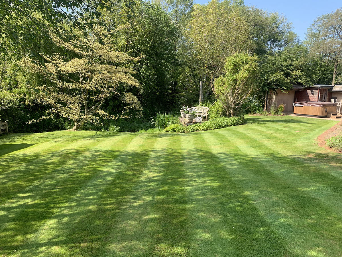 Quality Lawn